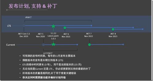 .NET 20周年 應(yīng)用軟件服務(wù)的演進(jìn)與未來(lái)趨勢(shì)隨想